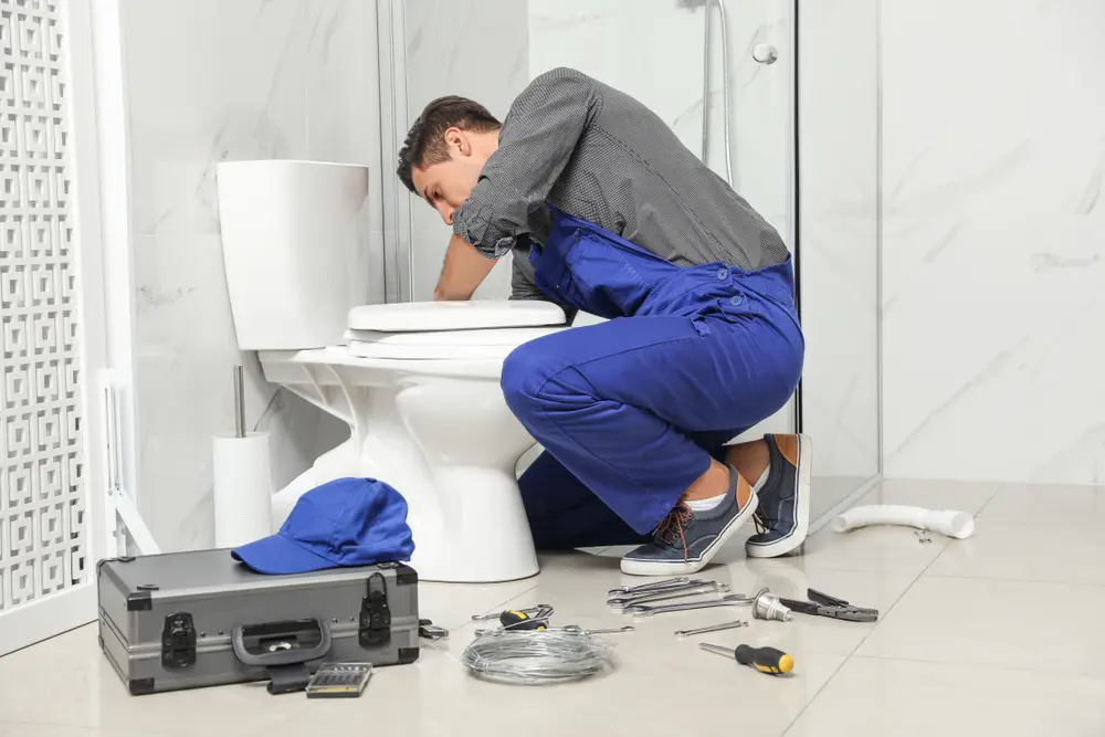 Toilet Installation in Hampton